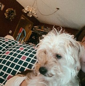 Meet your Posher, Ashlyn